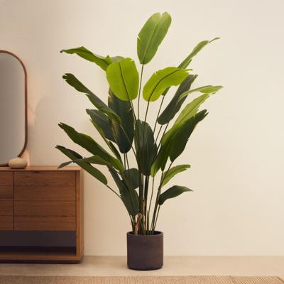 Kave Home Kunstplant 'Banano', Bananenplant (Musa), 210cm hoog, excl. sierpot Kave Home Kunstplant 'Banano', Bananenplant (Musa), 210cm hoog, excl. sierpot
