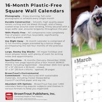 Keeshond Kalender 2026 - thumbnail