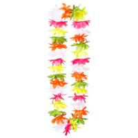 Hawaïkrans Malia - thumbnail