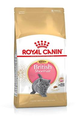 Royal Canin Kitten British Shorthair kattenvoer 2 x 2 kg