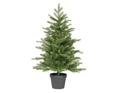 Everlands grandis miniboom pot h90cm groen