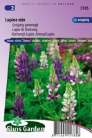 Lupinus Hartwegii zaden Choice Mix Lupine - thumbnail