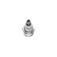 Bosch WS7F KSN608 0241236834 Bougie - thumbnail