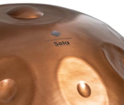 Sela SE 320 Harmony Handpan D Kurd 10 Phoenix Steel roestvrij staal