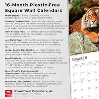 Tijger Kalender 2026 - thumbnail