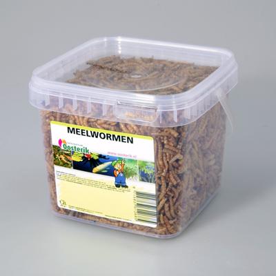 Meelwormen 1,2 liter voer Suren Collection - Suren collection Meelwormen 1,2 liter voer Suren Collection - Suren collection