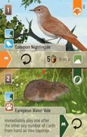 Forest Shuffle Woodland Edge - thumbnail