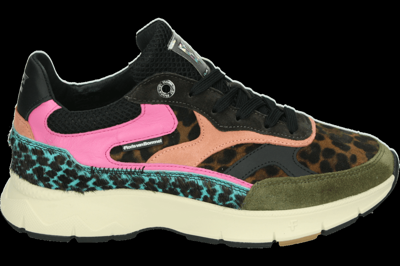 Floris van Bommel DAYSI 03.12 - alle