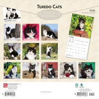 Zwart Wit Katten Kalender 2026 - thumbnail