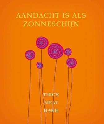 Aandacht is als zonneschijn - Thich Nhat Hanh - eBook (9789025902148)