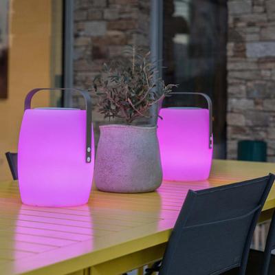 Draadloze bluetooth speakerlamp - LUMISKY - LUCY PLAY - H31 cm - Dimbare witte en veelkleurige LED