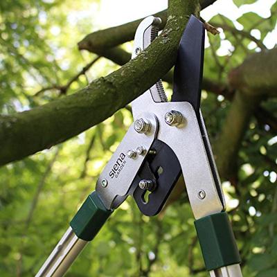 Siena Garden CL2103 Takkenschaar Amboss