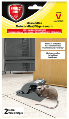 SBM protect home muizenval safe