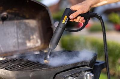 Wagner 2452743 W915e Ronde borstels 1 set(s) Zwart