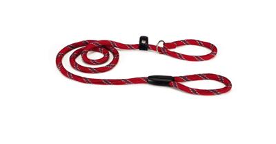 Beeztees Hondenlijn, nylon, rond, 170 x 1,3 cm, rood
