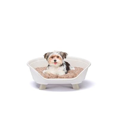 Ferplast Honden- en kattenbed met katoenen kussen, verhoogde kennel voor kleine honden, gerecycled plastic, binnenbed voor honden en katten, ademend en antislip, THRONE 61,5 x 45 xh 26 cm, wit