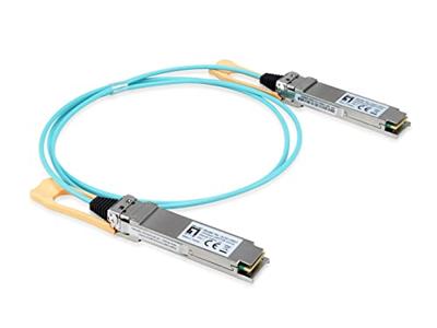 LevelOne AOC-0501 AOC-0501 SFP+ transceivermodule 100 GBit/s 1 m Type module SR4
