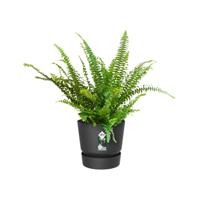 Elho greenville easy hanger single living black - thumbnail