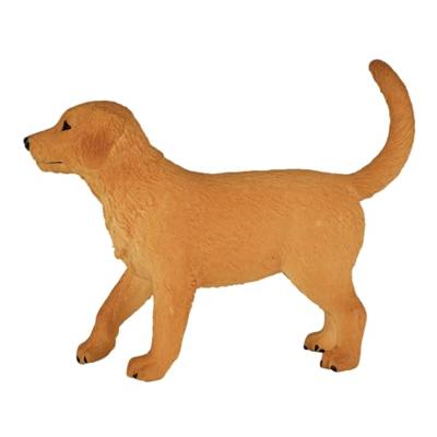 Mojo farmland golden retriever puppy 387205