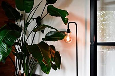 Lichtbron Globelamp Smart 12,5cm Goud E27