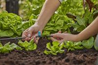 Sproeier voor kleine oppervlakken Gardena - Gardena - thumbnail