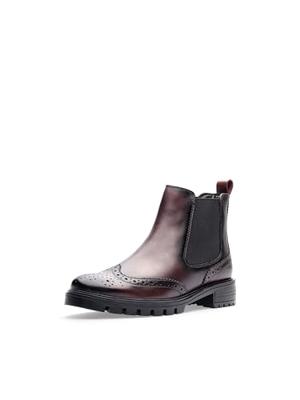 Ara 1229514 - alle Ara 1229514 - alle