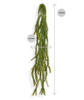 Asparagus Foxtail kunsthanger 60cm - groen Asparagus Foxtail kunsthanger 60cm - groen