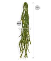 Asparagus Foxtail kunsthanger 60cm - groen - thumbnail