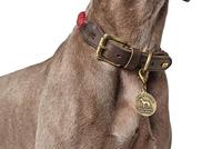 HUNTER Hondenhalsband List, bordeaux, Maat: 70 - thumbnail