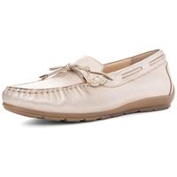 Ara 1219212 - alle - thumbnail