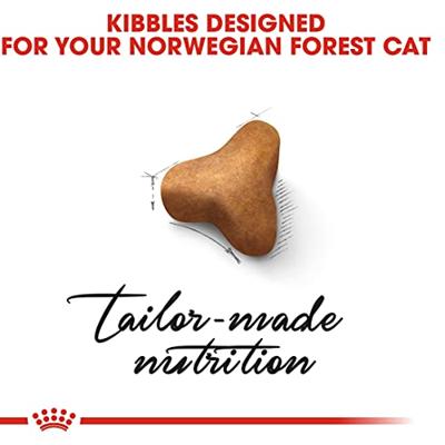Royal Canin Adult Noorse Boskat kattenvoer 2 x 2 kg