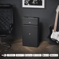 Audio Pro Drumfire II Smart Multiroom Wifi speaker Zwart - thumbnail