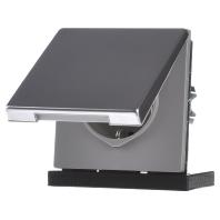 Jung ES1520KL Wandcontactdoos met randaarde en klapdeksel Inzetstuk 1-voudig RVS 1 stuk(s) - thumbnail