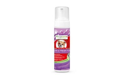 Bogacare Clean Fresh Foam droogshampoo voor hond en kat 3 x Hond