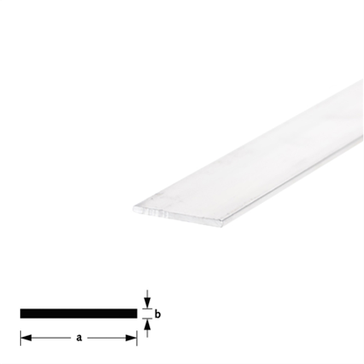 Platprofiel alu brute 50x3mm (2mtr)