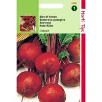 Biet/Kroot Kogel 2 - thumbnail