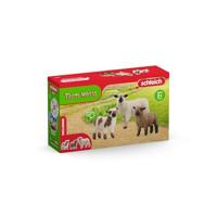 Playset Schleich 42660 FARM WORLD - thumbnail