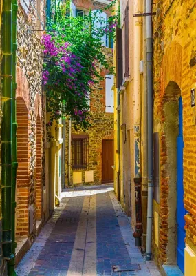 Alexsar Art Tuinschilderij gele steeg 70x50cm