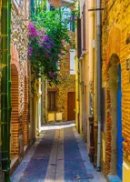 Alexsar Art Tuinschilderij gele steeg 70x50cm - thumbnail