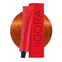 Schwarzkopf Professional Igora Royal 7-4 60ml - thumbnail