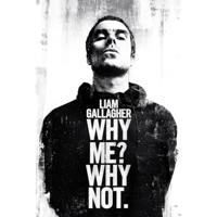 Poster Liam Gallagher - Why Me Why Not 61x91,5cm - thumbnail