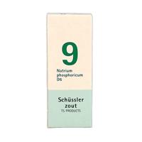 Pfluger Celzout 09 Natrium Phosphoricum D6 Tabletten - thumbnail