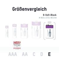 Ansmann Oplaadbaar Batterij 9-voudig En Usb-c - thumbnail