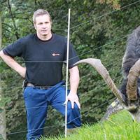 Gallagher Verstelbaar RVS veertje voor glasfiberpaal 10mm (25) - 018300 018300 - thumbnail