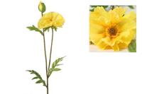 Decostar Papaver Vere 64 cm geel - thumbnail