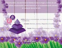Geurolie Brumas de ambiente 50 ml Violetta Boles d'olor - Boles d olor - thumbnail