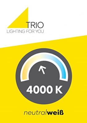 Trio Ø 50cm plafondlampSeasons hout met zwart - 611500302