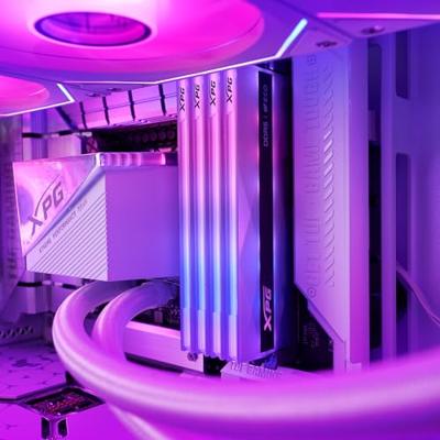 XPG DDR5 Lancer Neon RGB 1x16GB 6000 CL30