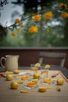 Bolsius geurtheelicht maxi true citronella 8 stuks - thumbnail