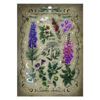 Ravensburger legpuzzel giftpflanzen, 1000st. - thumbnail